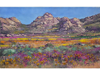 'Springtime near Garies' - James Yates