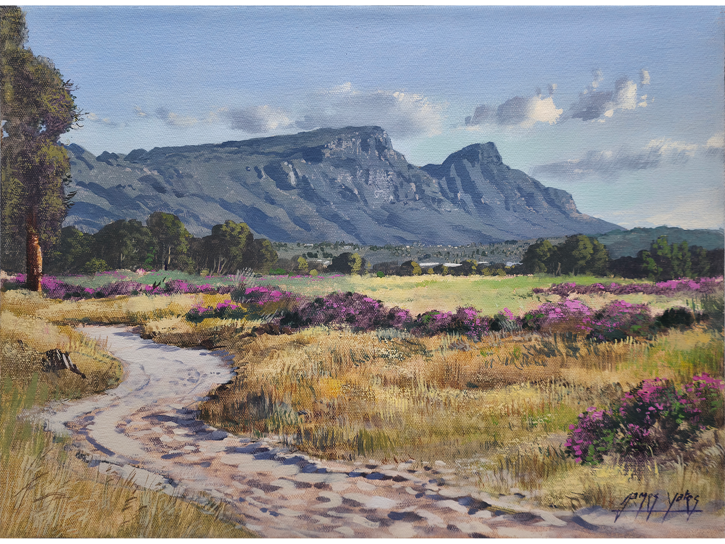 'Pelargonium time, Tokai Park' - James Yates