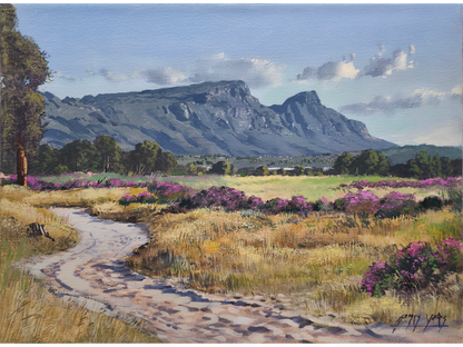 'Pelargonium time, Tokai Park' - James Yates