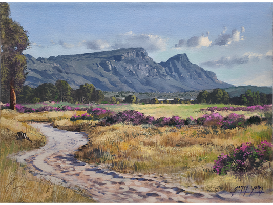 'Pelargonium time, Tokai Park' - James Yates