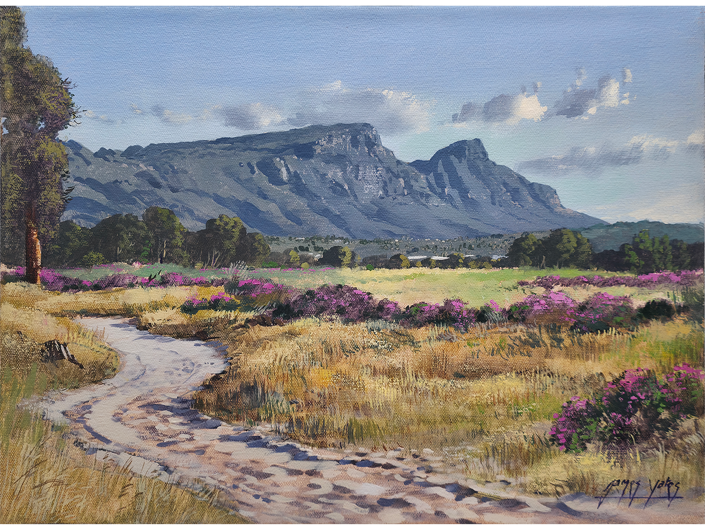 'Pelargonium time, Tokai Park' - James Yates