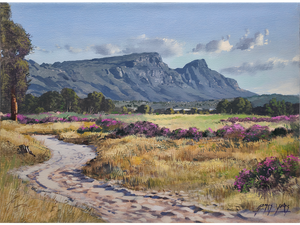 'Pelargonium time, Tokai Park' - James Yates