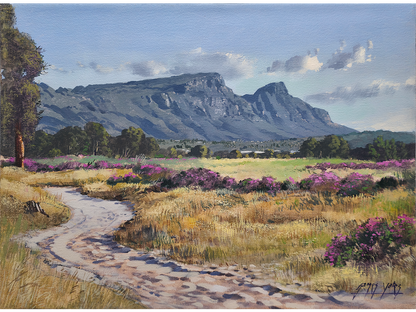 'Pelargonium time, Tokai Park' - James Yates