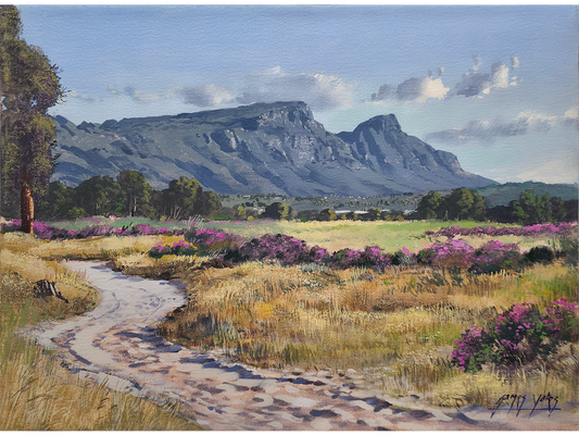 'Pelargonium time, Tokai Park' - James Yates