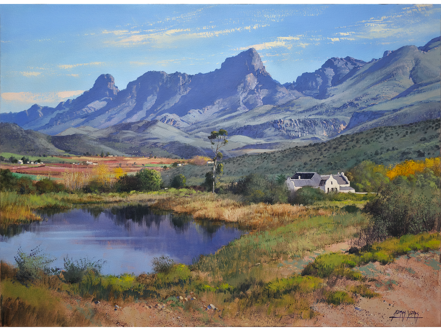 'Ladismith' - James Yates