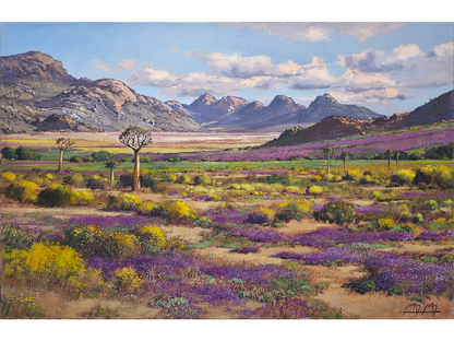 'Springtime near Springbok' - James Yates