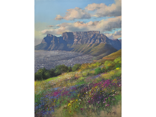 'Spring flowers on Signal Hill' - James Yates