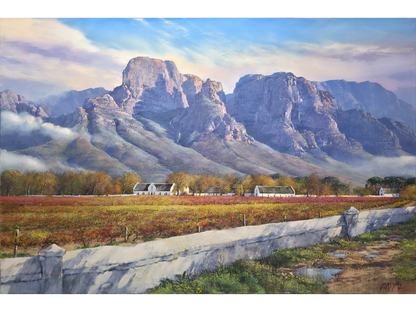'After the rain, Boschendal' - James Yates