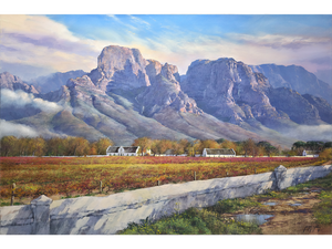 'After the rain, Boschendal' - James Yates