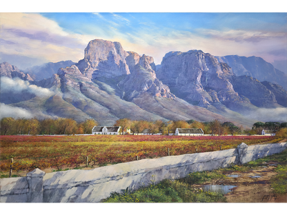 'After the rain, Boschendal' - James Yates