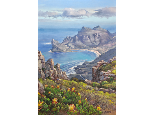 Vertical oil painting from a high peak showing yellow proteas in the foreground, looking down over Chapman's Peak Drive toward Hout Bay and the Sentinel mountain.