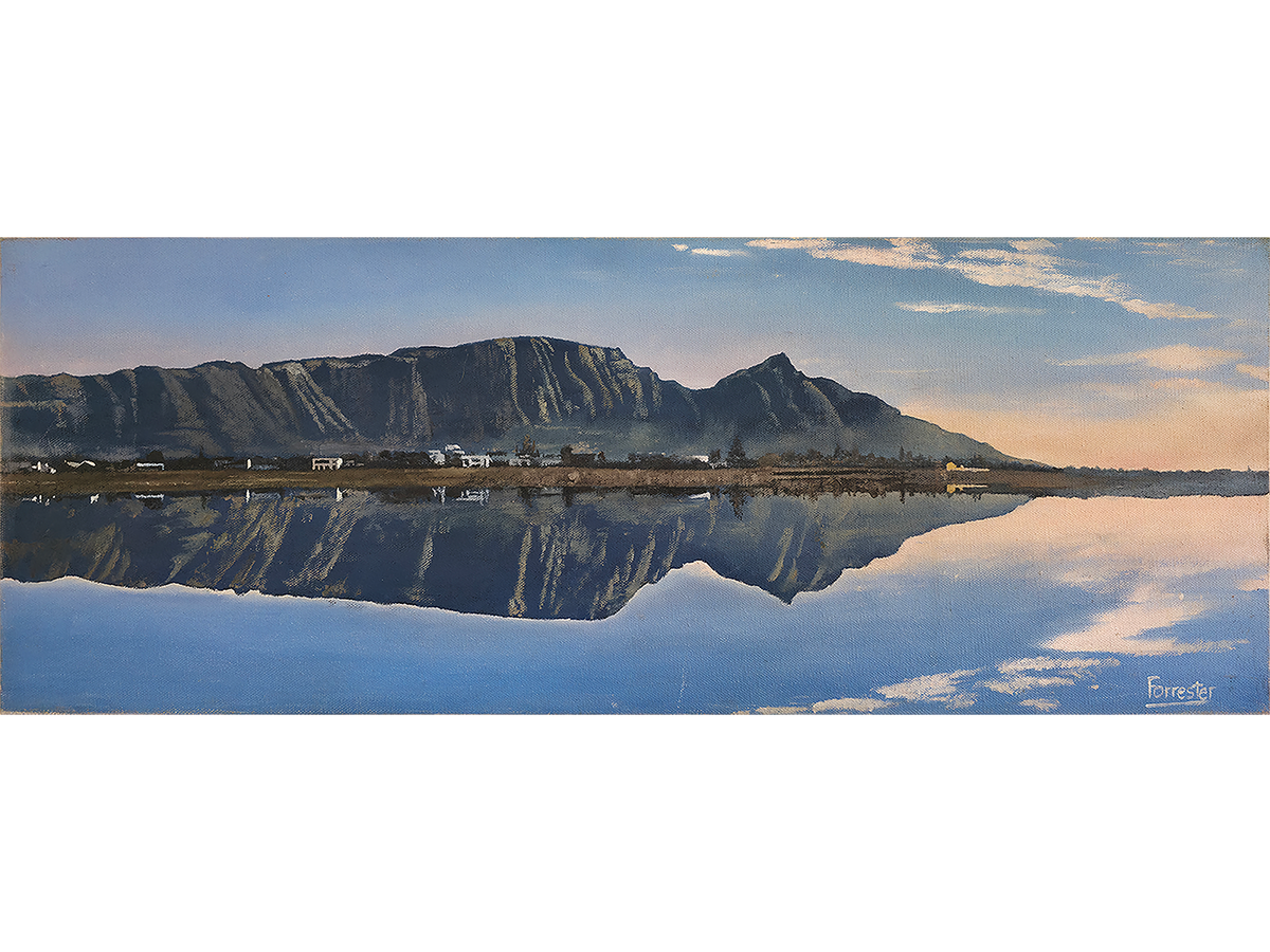 'Zeekoevlei Reflection' - Mike Forrester