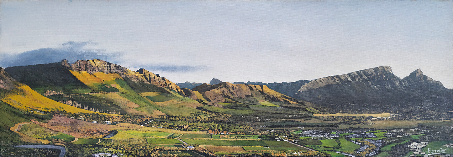 Panoramic landscape oil painting showing an elevated view of Cape Town's Southern Suburbs, green valleys, and sunlit mountain ridges.