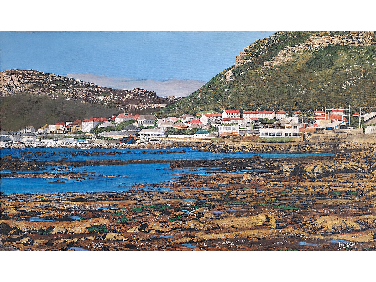 'Kalk Bay from Dale Brook' - Mike Forrester