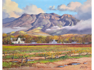 'Groot Constantia Wine Farm' - James Yates
