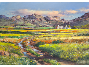 'Flowers in the Middlemannetjie, Namaqualand'