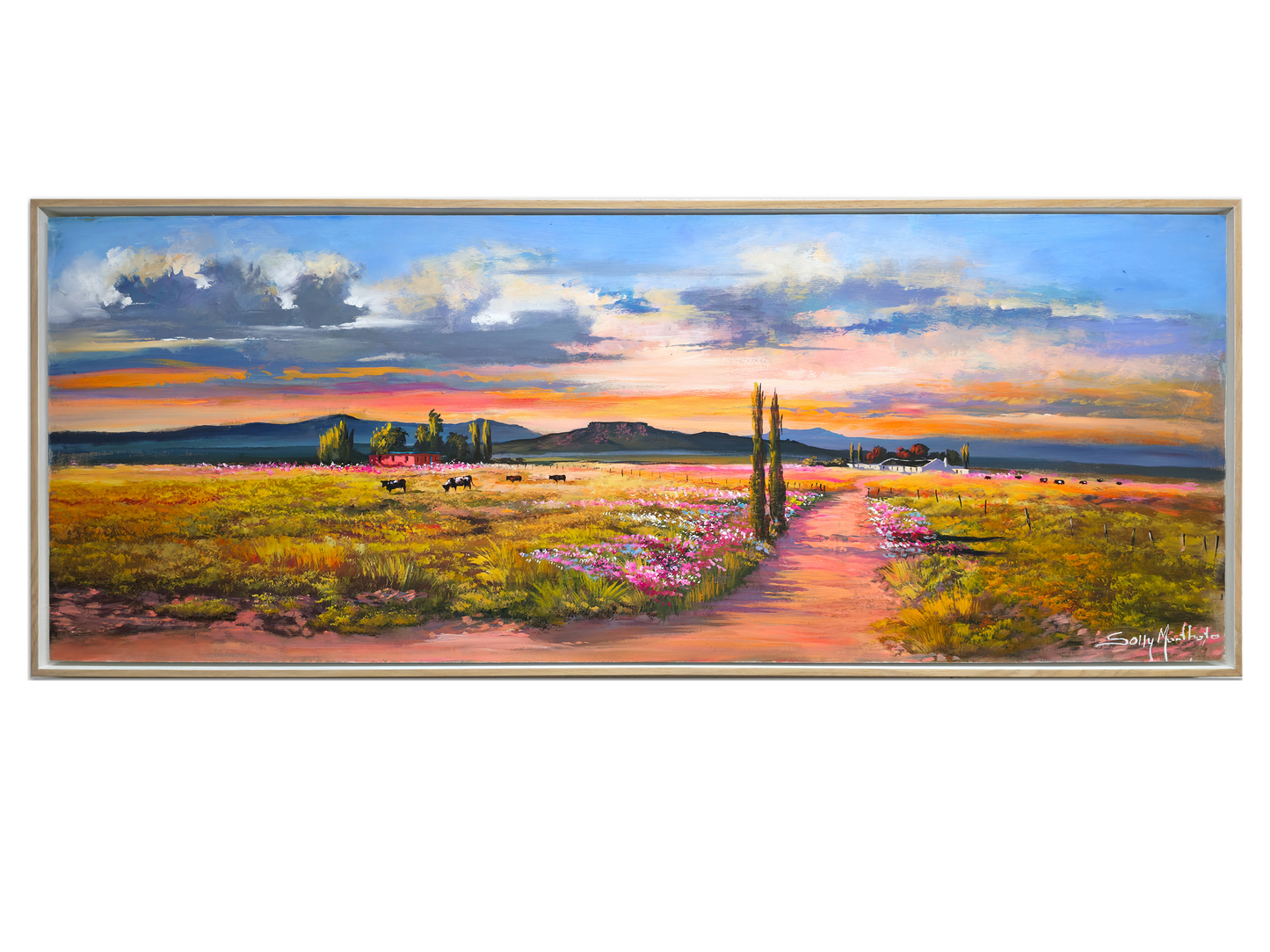 'Karoo Homestead' - Solly Manthata