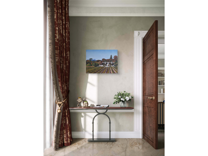 'Constantia Homestead and Vineyards' - Mike Forrester