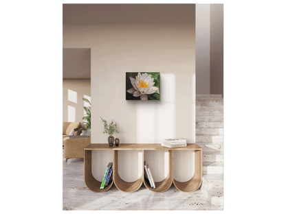 'Nymphaea Capensus' - Phyllida Louw