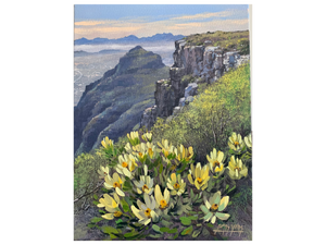 'Proteas, Table Mountain' - James Yates
