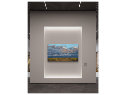 'De Hoop Nature Reserve' - Phyllida Louw