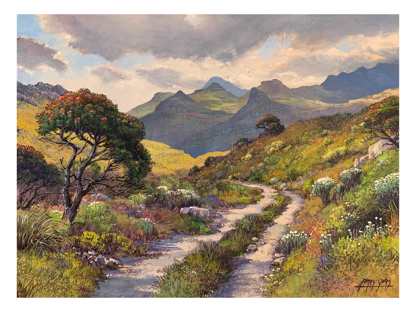 'Silvermine Nature Reserve' - James Yates