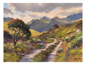 'Silvermine Nature Reserve' - James Yates