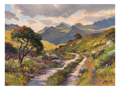 'Silvermine Nature Reserve' - James Yates