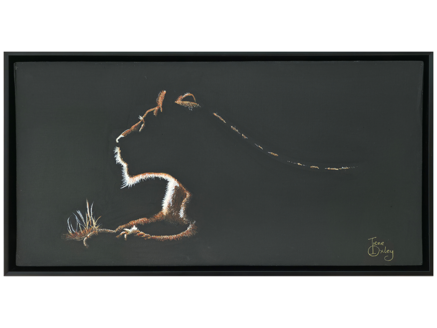 'Waiting for Sunrise' - Irene Oxley