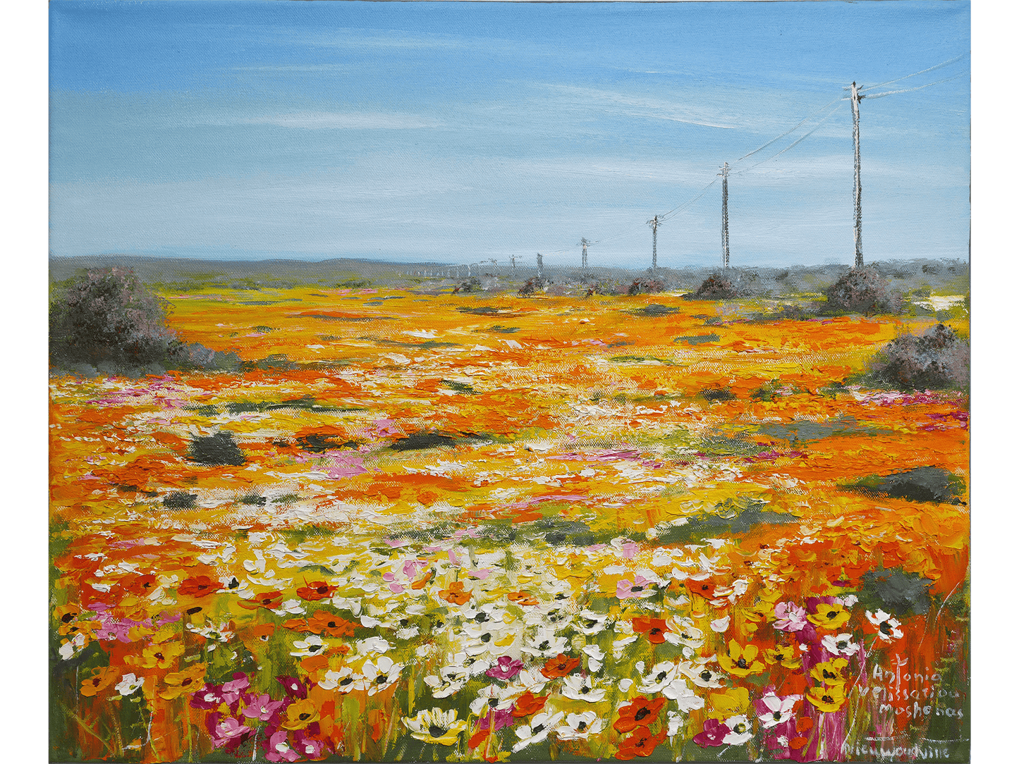 'Nieuwoudtville' - Antonia Velissariou