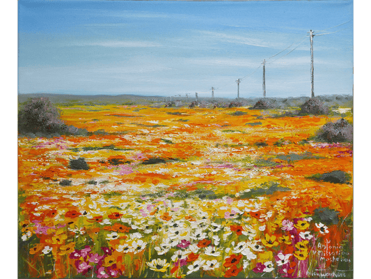 'Nieuwoudtville' - Antonia Velissariou