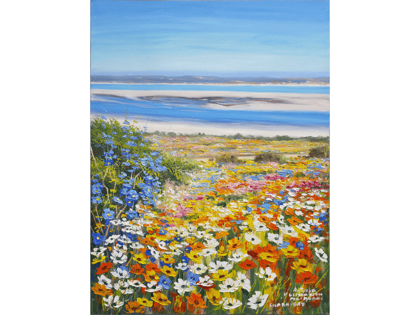 'Shark Bay' - Antonia Velissariou