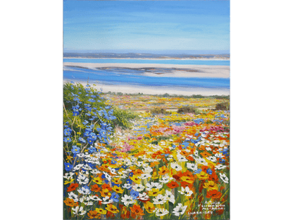 'Shark Bay' - Antonia Velissariou