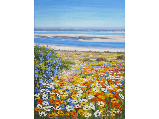 'Shark Bay' - Antonia Velissariou