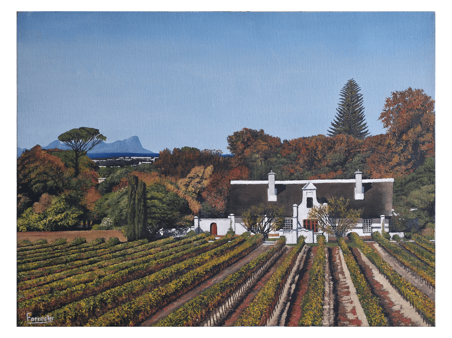 Oil on canvas, 45 cm (Height) x 60 cm (Width), showing a grand white Cape Dutch homestead with a thatched roof, set behind rows of autumn vineyards. Table Mountain is visible faintly in the distance.