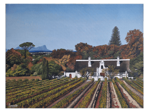 'Constantia Homestead and Vineyards' - Mike Forrester