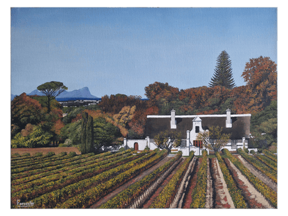 Oil on canvas, 45 cm (Height) x 60 cm (Width), showing a grand white Cape Dutch homestead with a thatched roof, set behind rows of autumn vineyards. Table Mountain is visible faintly in the distance.