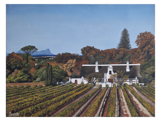 Oil on canvas, 45 cm (Height) x 60 cm (Width), showing a grand white Cape Dutch homestead with a thatched roof, set behind rows of autumn vineyards. Table Mountain is visible faintly in the distance.