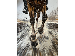 'Gallop' - Darren McKay