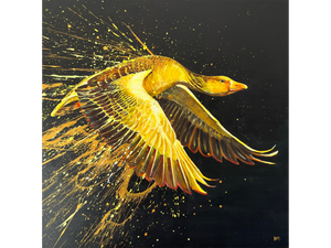 'Golden Goose' - Darren McKay