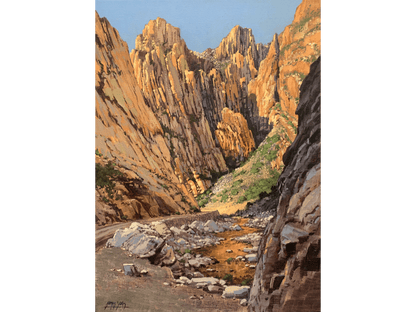 'Swartberg canyon' - James Yates