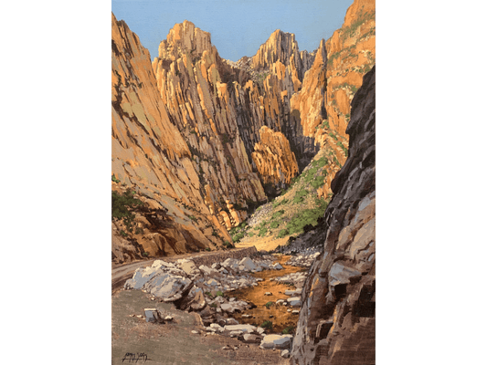 'Swartberg canyon' - James Yates