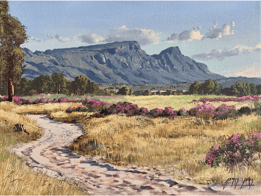 'Pelargonium time, Tokai Park' - James Yates
