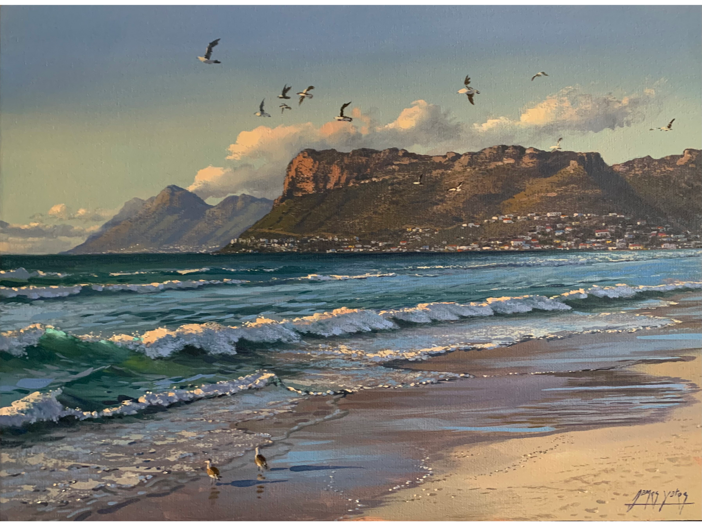 'Startled gulls, Fish Hoek' - James Yates
