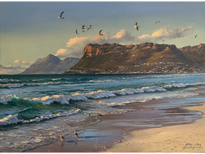 'Startled gulls, Fish Hoek' - James Yates