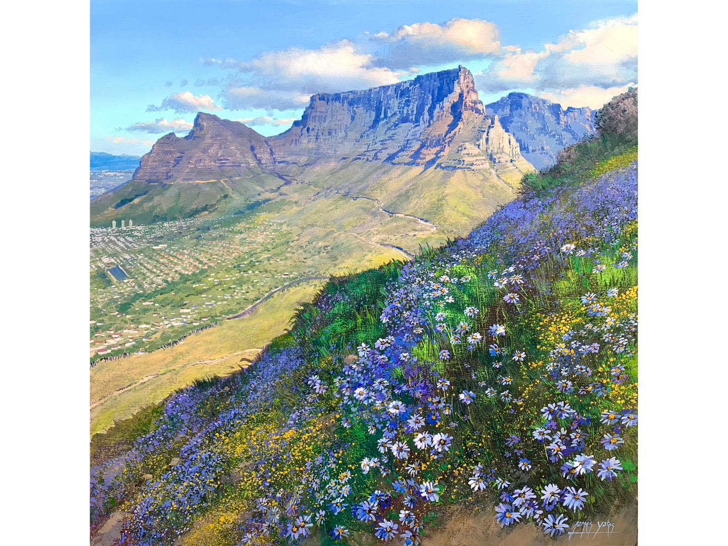 'Wild Asters on Lions Head slopes' - James Yates