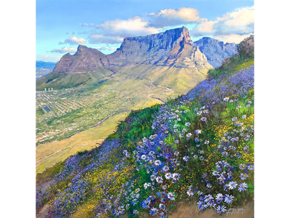 'Wild Asters on Lions Head slopes' - James Yates