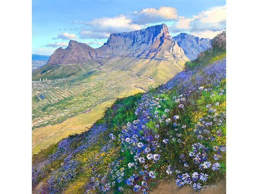 'Wild Asters on Lions Head slopes' - James Yates