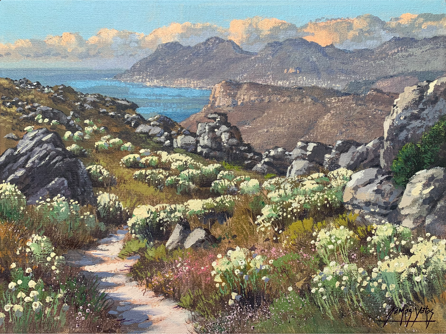 'Everlastings above Kalk Bay' - James Yates