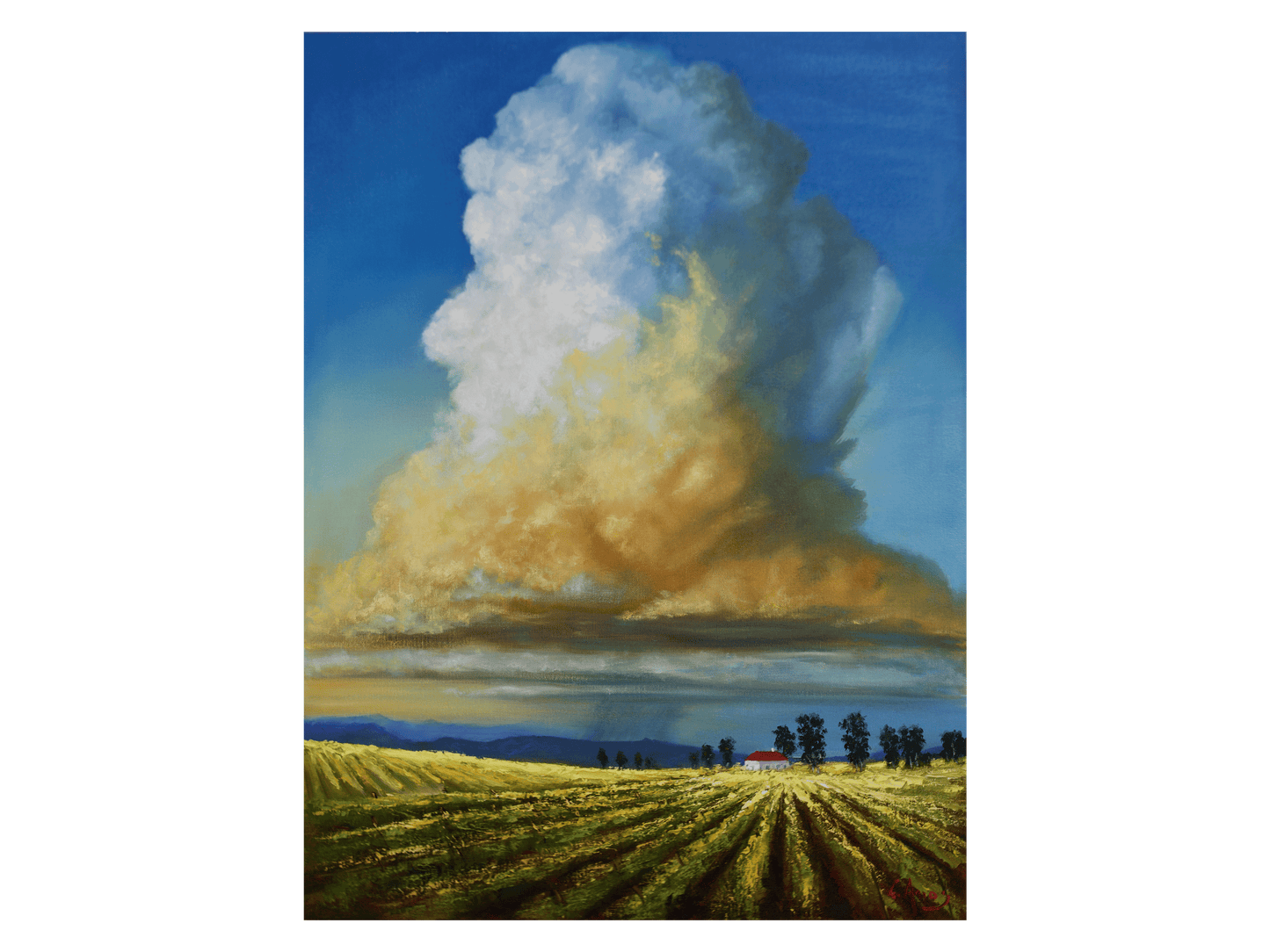 'Fields of Gold' - Charles Amos